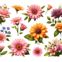 AI generated set of flowers PNG