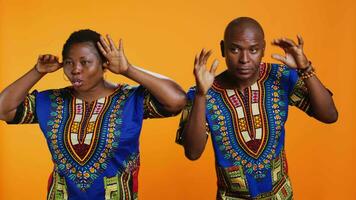 African american silly couple fooling around on camera, sticking tongue out and having fun with jokes in studio. Ethnic man and woman laughing together and acting playful. video