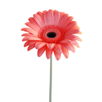 AI generated Flower icon png isolated on transparent background