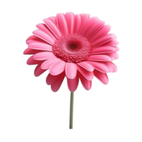 ai generado flor icono png aislado en transparente antecedentes