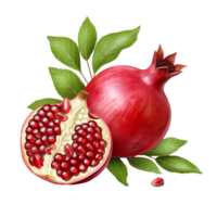AI generated Pomegranate png isolated on transparent background