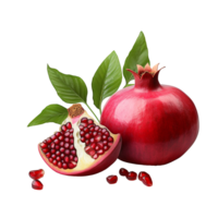 AI generated Pomegranate png isolated on transparent background