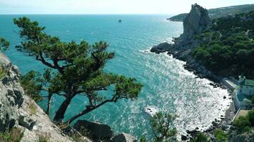 negro mar bahía y enebro árbol en Crimea montañas video