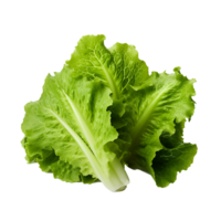 AI generated Lettuce leaves png isolated on transparent background