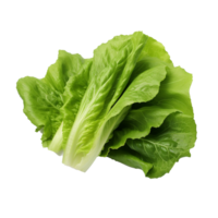 AI generated Lettuce leaves png isolated on transparent background