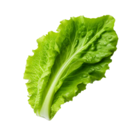 AI generated Lettuce leaves png isolated on transparent background