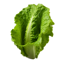 AI generated Lettuce leaves png isolated on transparent background