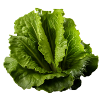 AI generated Lettuce leaves png isolated on transparent background