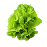 ai generiert Grüner Salat Blätter png isoliert auf transparent Hintergrund