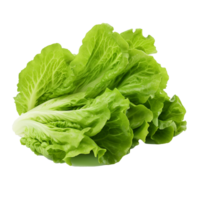 AI generated Lettuce leaves png isolated on transparent background