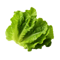 AI generated Lettuce leaves png isolated on transparent background