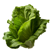 AI generated Lettuce leaves png isolated on transparent background