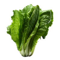 AI generated Lettuce leaves png isolated on transparent background