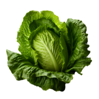 AI generated Lettuce leaves png isolated on transparent background