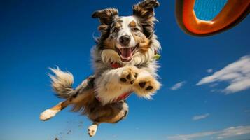 ai generado foto de un atlético perro participativo en un frisbee generativo ai