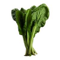 ai gegenereerd bok choy PNG geïsoleerd Aan transparant achtergrond