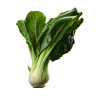 ai généré bok choy png isolé sur transparent Contexte