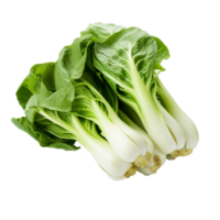 ai gegenereerd bok choy PNG geïsoleerd Aan transparant achtergrond