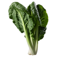 ai gegenereerd bok choy PNG geïsoleerd Aan transparant achtergrond