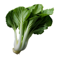 ai gegenereerd bok choy PNG geïsoleerd Aan transparant achtergrond