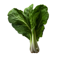 ai gegenereerd bok choy PNG geïsoleerd Aan transparant achtergrond