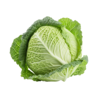 AI generated Green Cabbage isolated on transparent background png