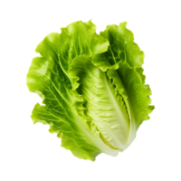 AI generated Green lettuce isolated on transparent background fresh lettuce png generative ai