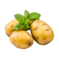 ai genererad potatis isolerat på transparent bakgrund png