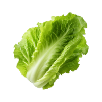 AI generated Green lettuce isolated on transparent background fresh lettuce png generative ai