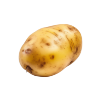 AI generated Potato isolated on transparent background png