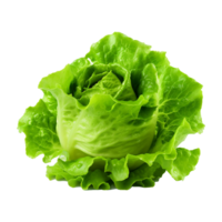 AI generated Green lettuce isolated on transparent background fresh lettuce png generative ai