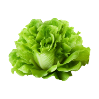 AI generated Green lettuce isolated on transparent background fresh lettuce png generative ai