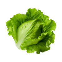 AI generated Green lettuce isolated on transparent background fresh lettuce png generative ai