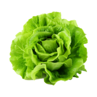 AI generated Green lettuce isolated on transparent background fresh lettuce png generative ai