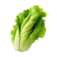 AI generated Green lettuce isolated on transparent background fresh lettuce png generative ai
