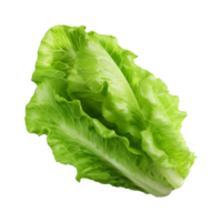 AI generated Green lettuce isolated on transparent background fresh lettuce png generative ai