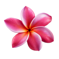 ai generiert Plumeria Blume png isoliert auf transparent Hintergrund