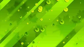 Bright green summer motion background with leaves and bubbles video