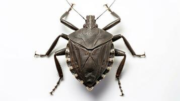 AI generated Photo of Stink Bug isolated on white background. Generative AI