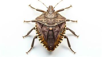 AI generated Photo of Stink Bug isolated on white background. Generative AI