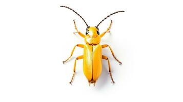 AI generated Photo of Soldier Beetle isolated on white background. Generative AI