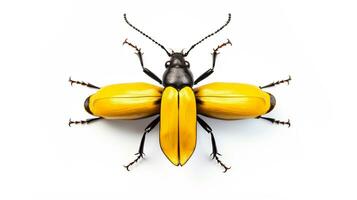 ai generado foto de de cuernos largos escarabajo aislado en blanco antecedentes. generativo ai