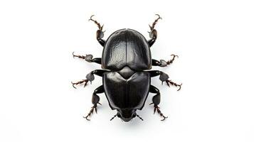 AI generated Photo of Dung Beetle isolated on white background. Generative AI