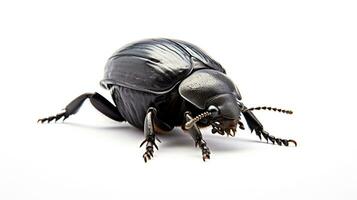 AI generated Photo of Dung Beetle isolated on white background. Generative AI