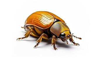AI generated Photo of Dung Beetle isolated on white background. Generative AI