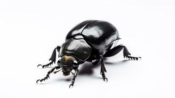 AI generated Photo of Dung Beetle isolated on white background. Generative AI