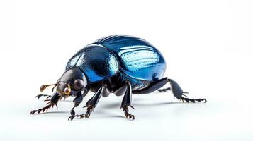 AI generated Photo of Dung Beetle isolated on white background. Generative AI