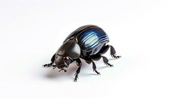 AI generated Photo of Dung Beetle isolated on white background. Generative AI