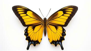 AI generated Photo of Butterfly isolated on white background. Generative AI