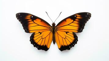 AI generated Photo of Butterfly isolated on white background. Generative AI